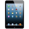 Apple iPad mini 64Gb Wi-Fi черный - Богданович